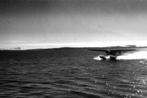 Bilde av Fly til benyttelse for å observere hval.